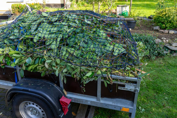 Best Property Management Cleanouts  in Marshfield, WI